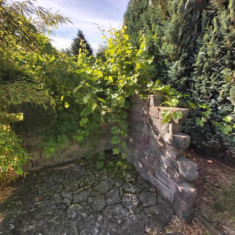 Apartment In Upper Floor In Nature Reserve. Hipstedt Exteriör bild